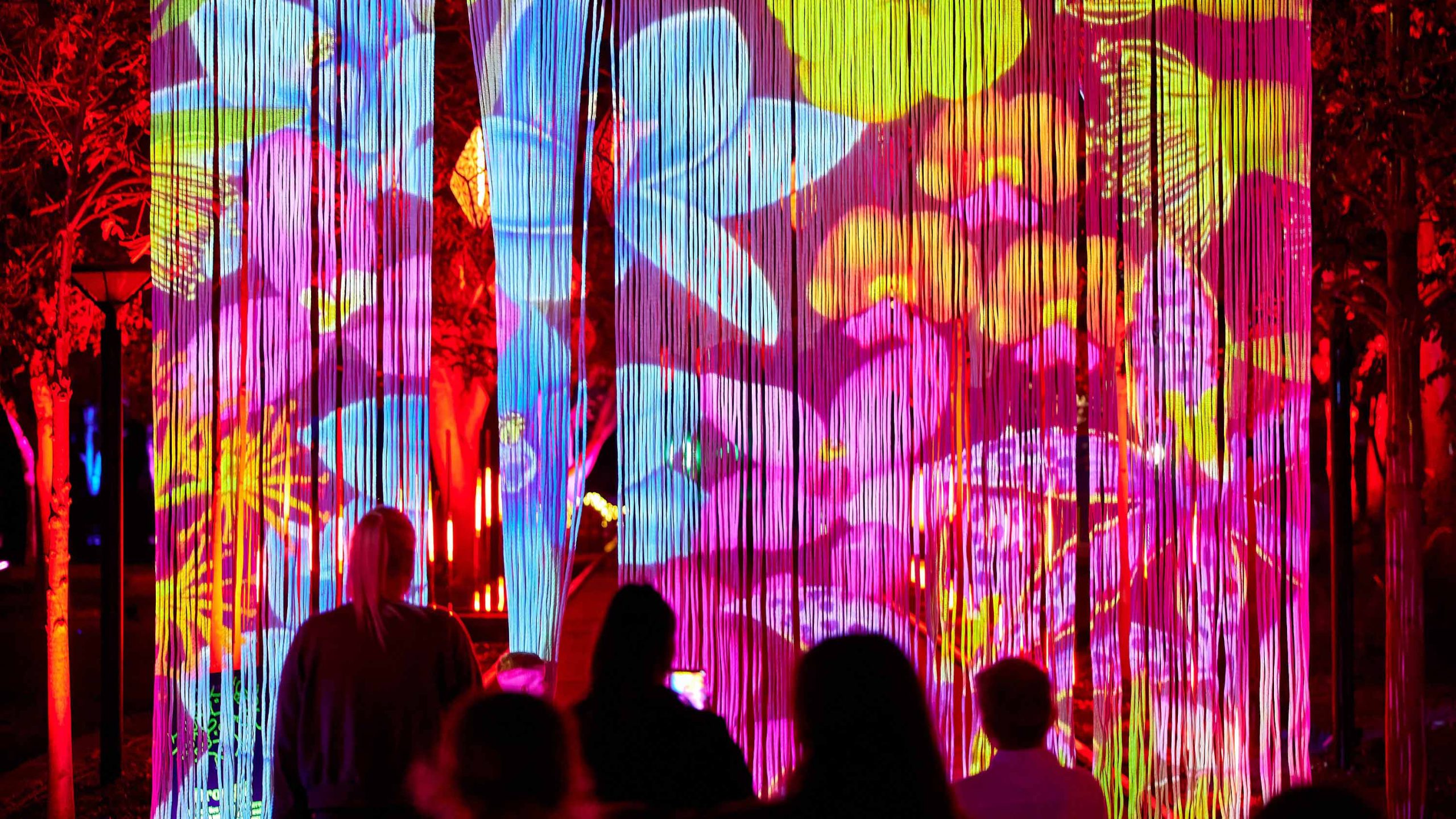 A crowd moves through the hanging rope curtain at Bloom, light and sound show in Joondalup's Central Park, Perth.